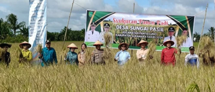 Bupati Hadiri Syukuran Panen Padi Di Desa Sungai Pasir